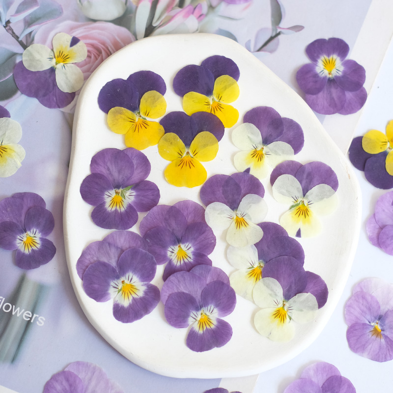 12 pièces, nature pensée fleur - Photo Beauty Makeup avis et prix