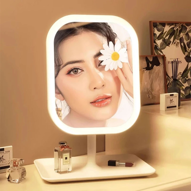 Nouveau miroir de courtoisie L - Beauty Makeup Vanity avis et prix